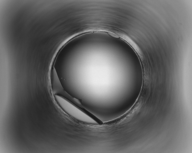 X0000095931004200801251046
