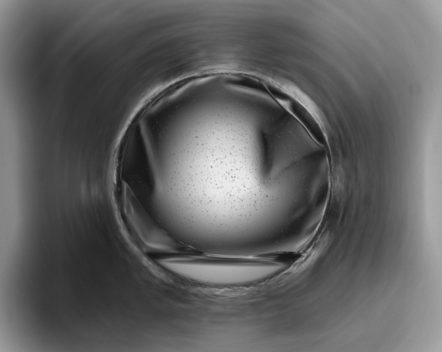 X0000095931005200801251046