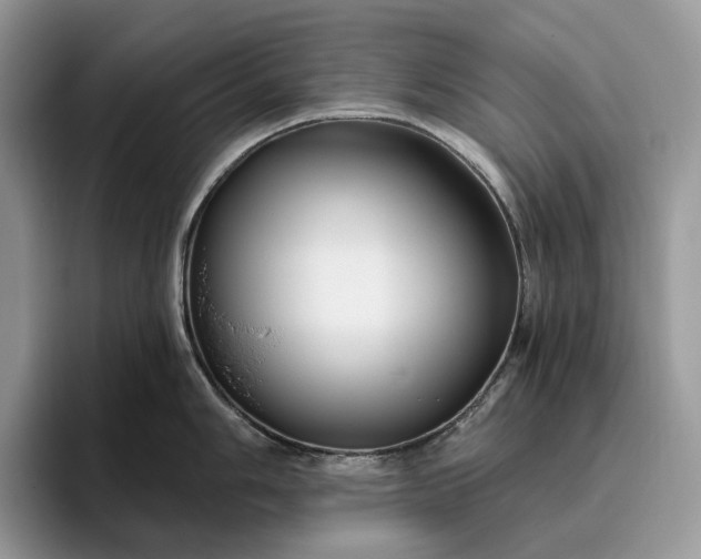 X0000095931006200801251046