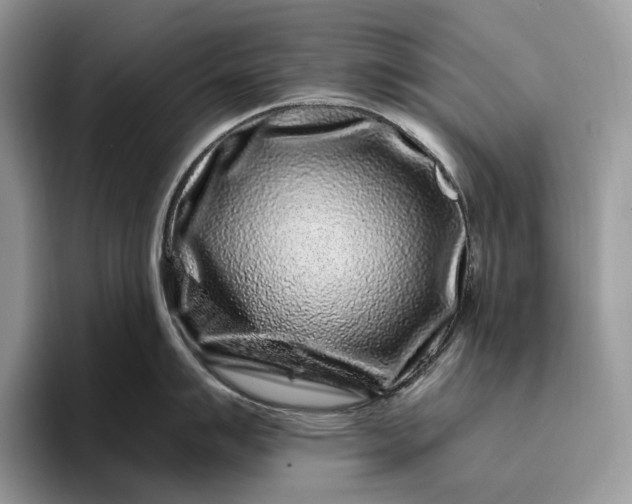 X0000095931007200801251046