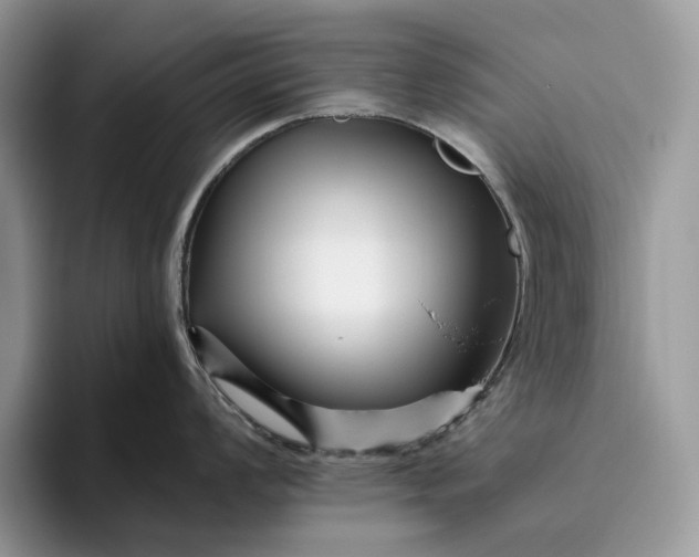 X0000095931008200801251046