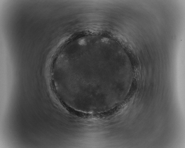 X0000095931009200801251045
