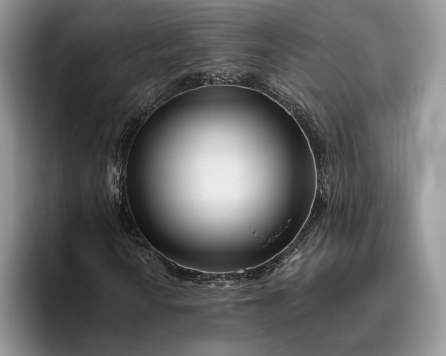 X0000095931010200801251045