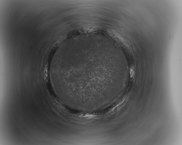 X0000095931011200801251045