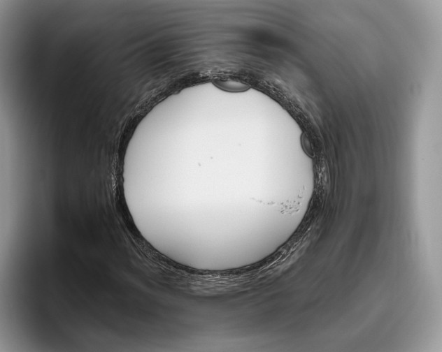 X0000095931012200801251045