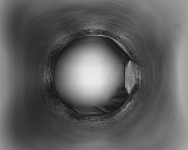 X0000095931014200801251045