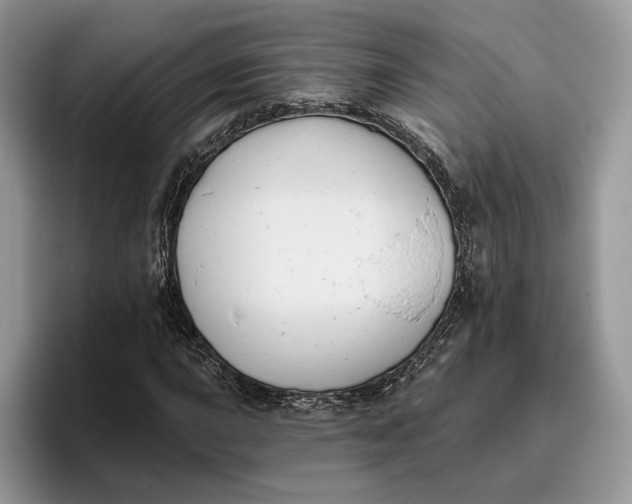 X0000095931015200801251045