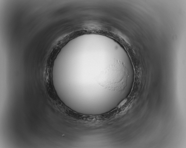 X0000095931016200801251045