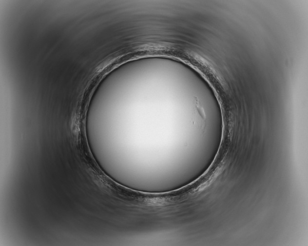 X0000095931017200801251045