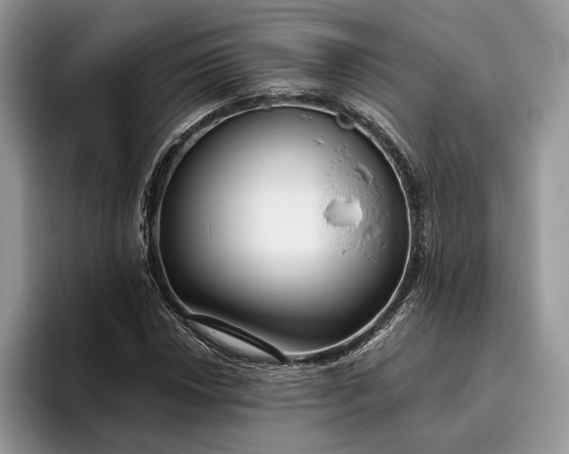 X0000095931018200801251045