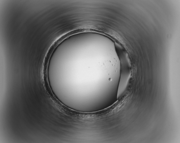 X0000095931020200801251045