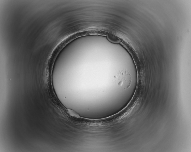 X0000095931021200801251045