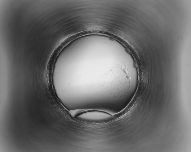 X0000095931022200801251045