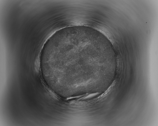 X0000095931023200801251045
