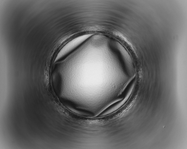 X0000095931025200801251045