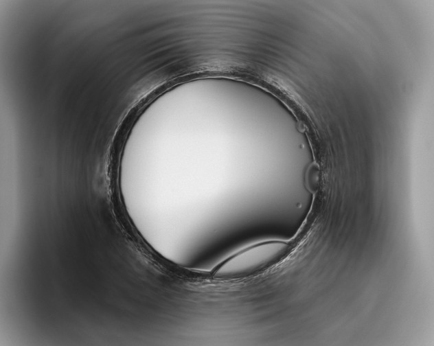X0000095931026200801251045