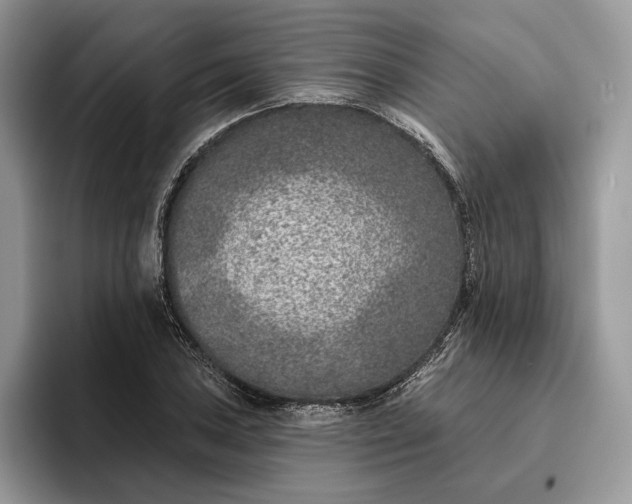 X0000095931027200801251045