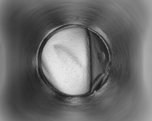 X0000095931028200801251046