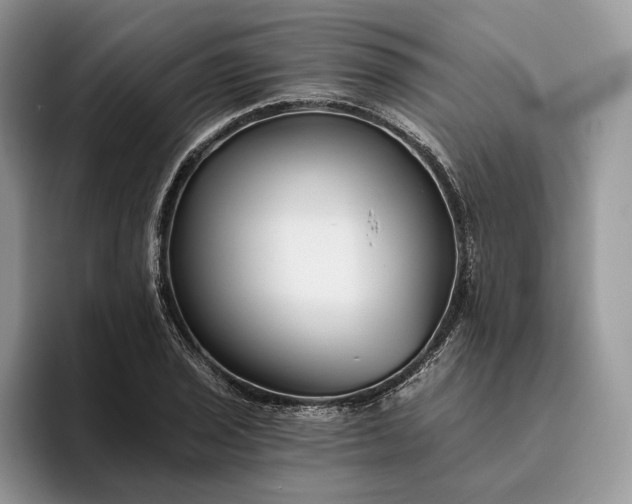 X0000095931029200801251046