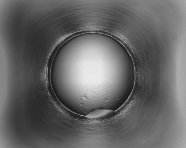 X0000095931030200801251046
