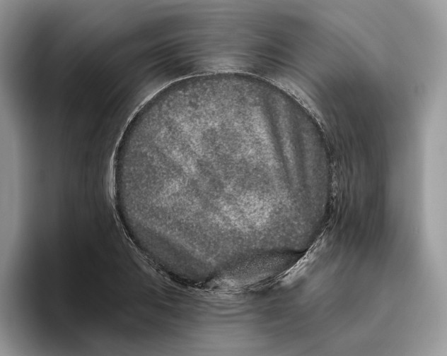 X0000095931031200801251046