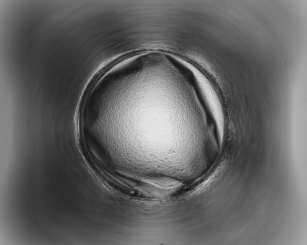 X0000095931032200801251046