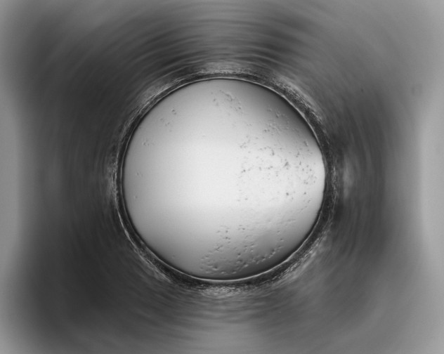 X0000095931033200801251046