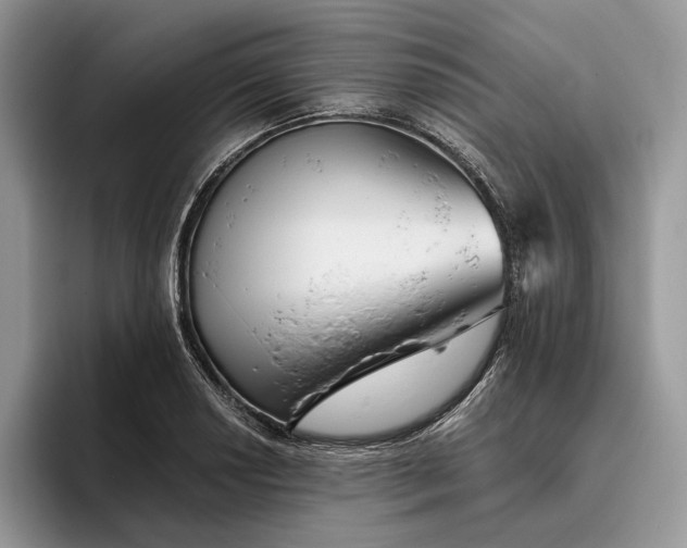 X0000095931034200801251046