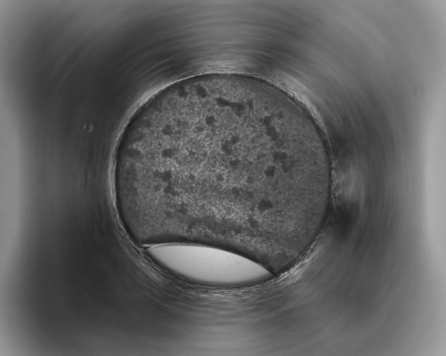 X0000095931035200801251046