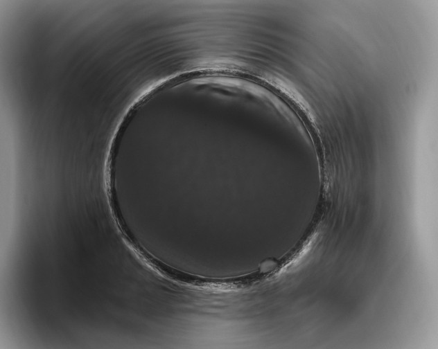 X0000095931037200801251046