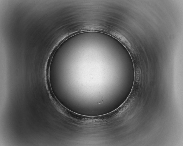 X0000095931039200801251046