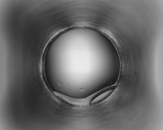 X0000095931040200801251046