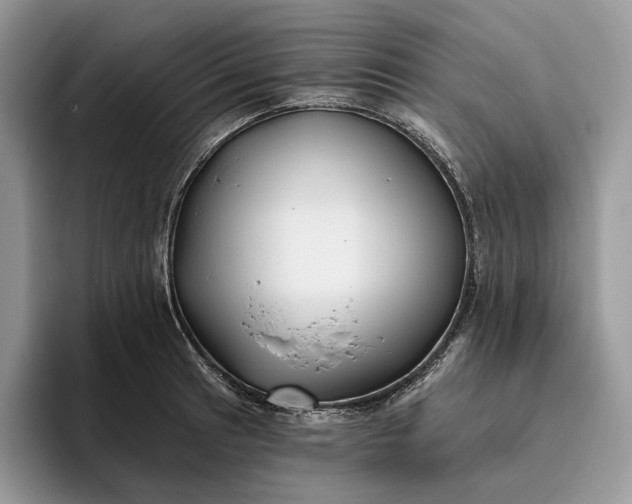 X0000095931041200801251046