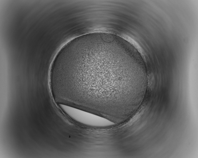 X0000095931043200801251046