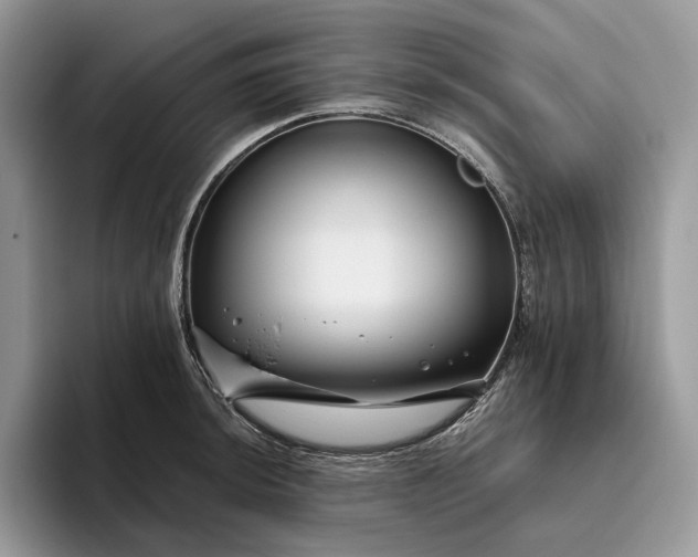 X0000095931044200801251046