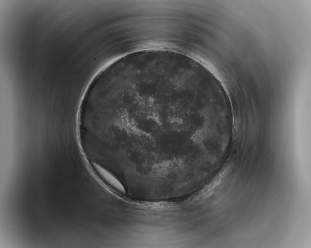 X0000095931045200801251046