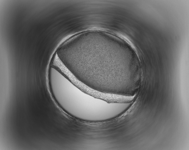 X0000095931048200801251046