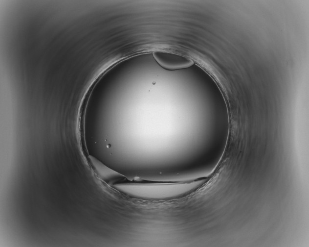 X0000095931050200801251046
