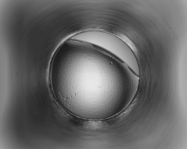 X0000095931052200801251046