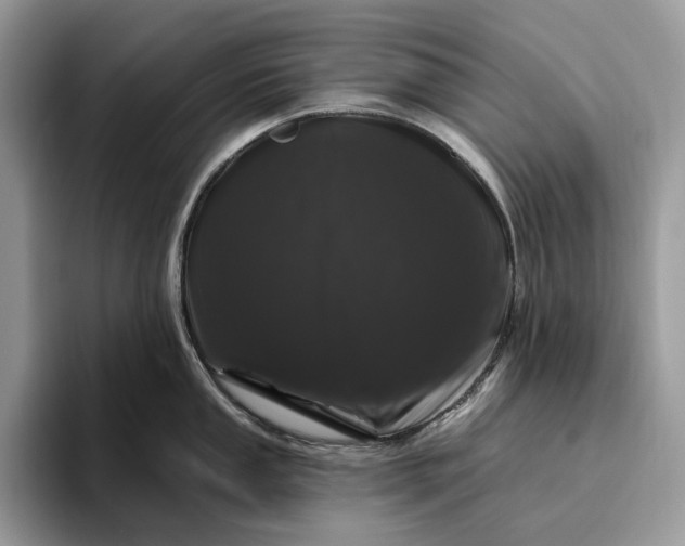 X0000095931053200801251046