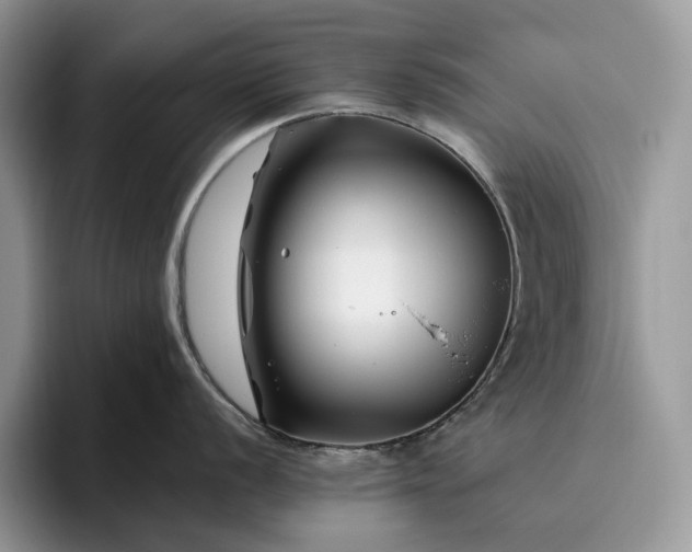 X0000095931056200801251046