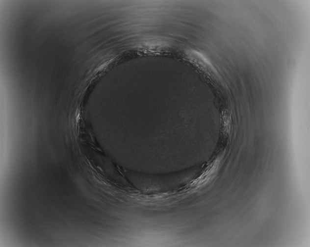 X0000095931060200801251045