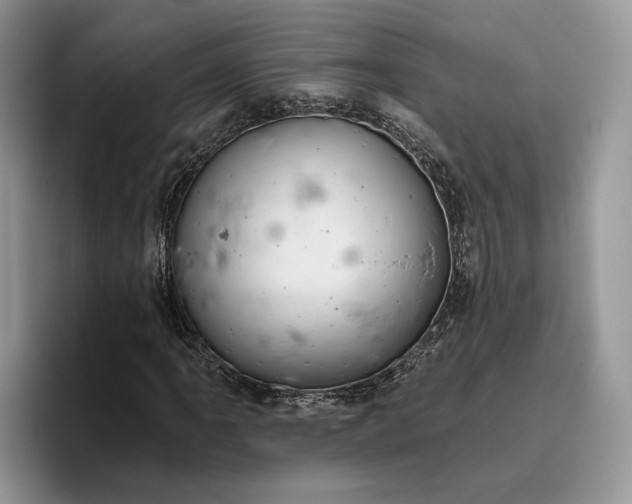 X0000095931061200801251045