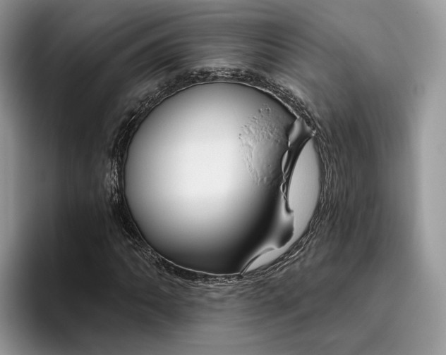 X0000095931062200801251045
