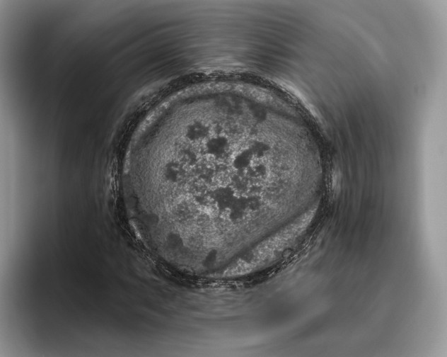 X0000095931063200801251045