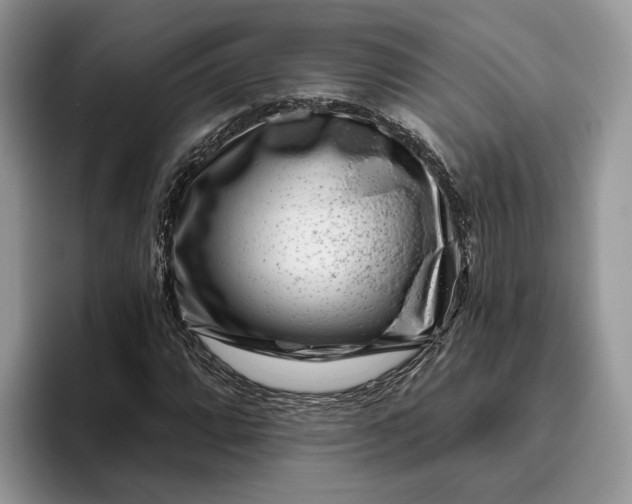 X0000095931064200801251045