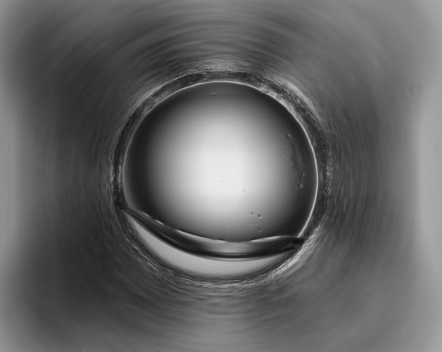X0000095931065200801251045