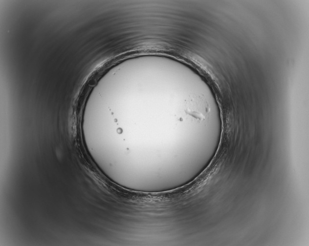 X0000095931067200801251045