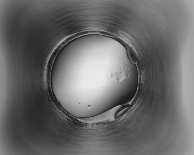 X0000095931068200801251045