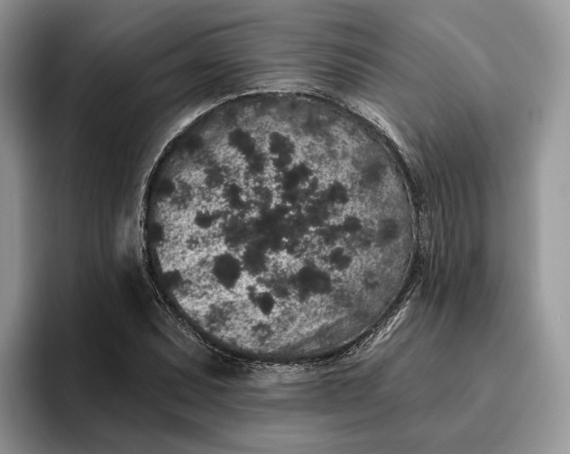 X0000095931071200801251045